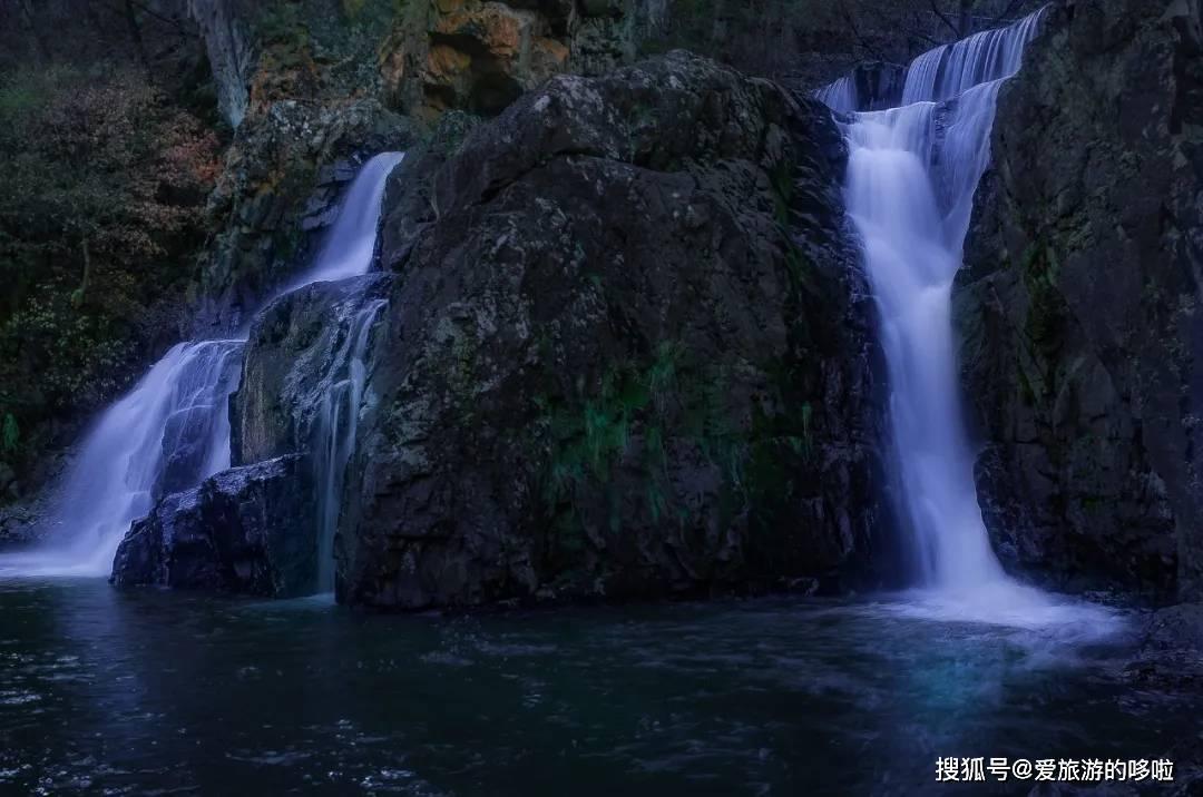 植物大战僵尸6
