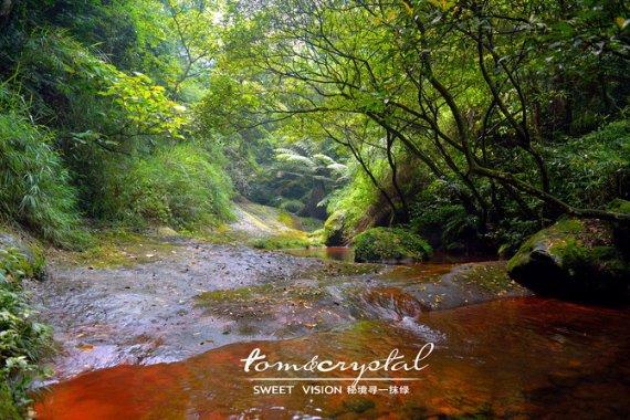 一辆汽车从甲地开往乙地，平均每小时行80千米，四小时到达。返回时，平生每小时比原来快1/4，返回时？