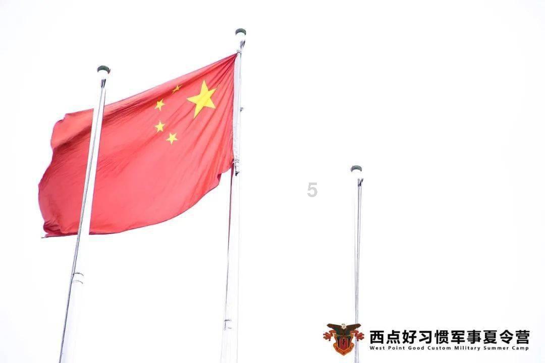 格斗巅峰大作战