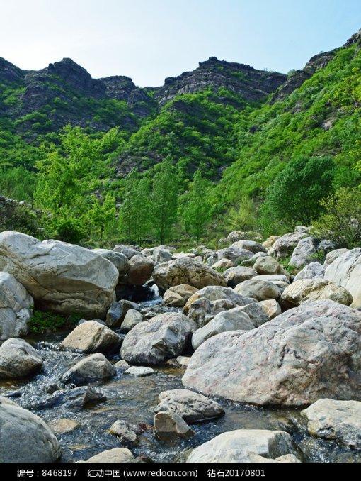 小米14已获得NBTC认证,全球发布指日可待