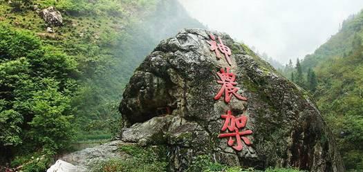 越过篱笆