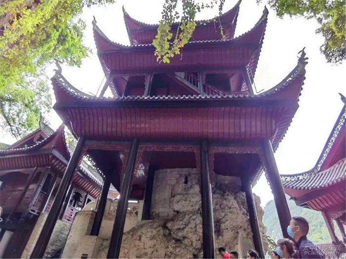 超 8000 万人次嗑“龙浓” CP，泸州老窖打响赢战龙年“第一枪”