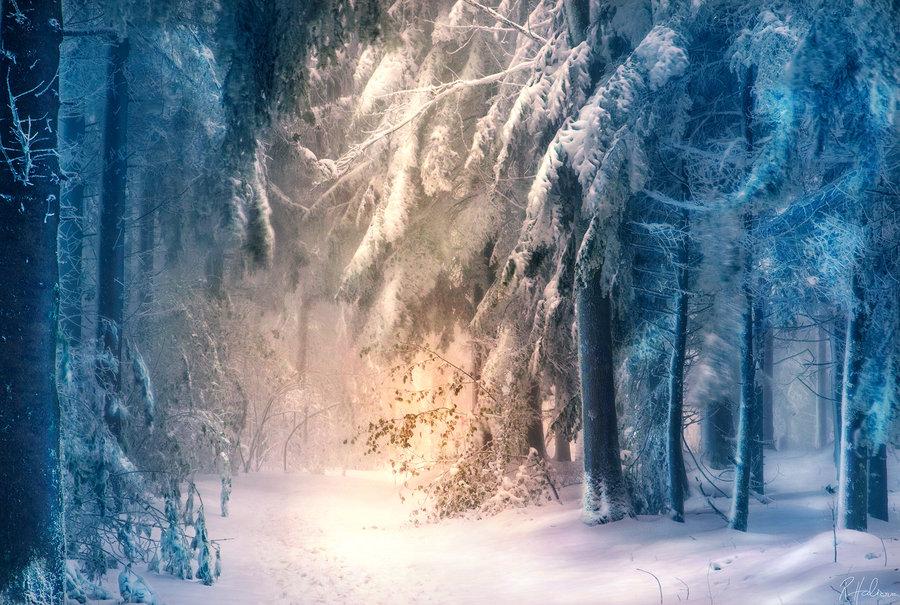 幻想纹章2.1